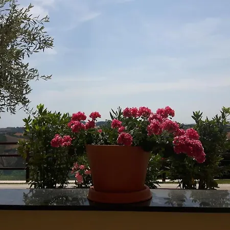 Cerqueto