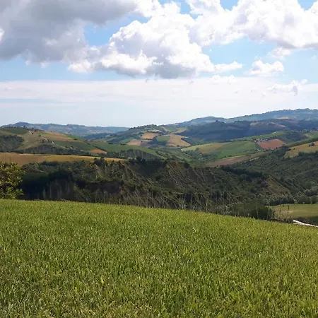Cerqueto Porchia